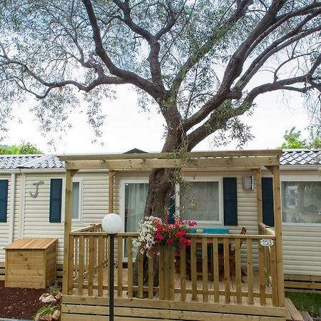 Camping Delfino Albenga Ngoại thất bức ảnh