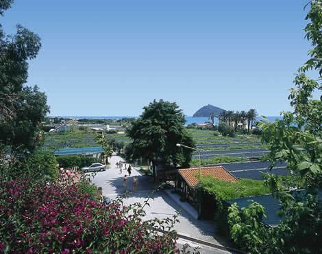 Camping Delfino Albenga Ngoại thất bức ảnh